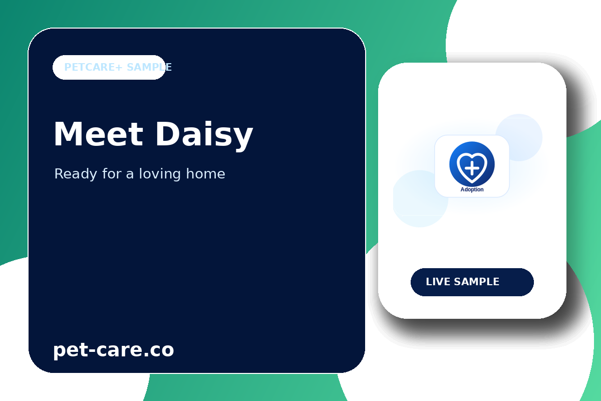 Meet Daisy